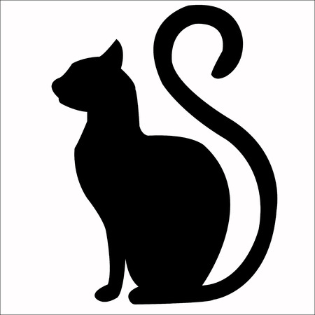 BlacBlack Cat sitting and looking at the camera, isolated on whiteの写真素材