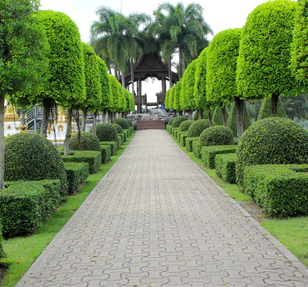 Stone  walkway in the parkの写真素材