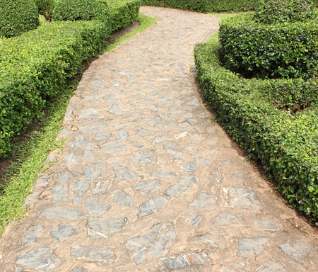 Stone  walkway in the parkの写真素材