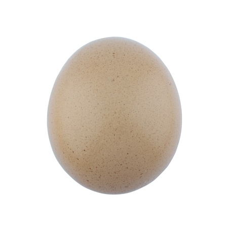 eggs on a white backgroundの写真素材