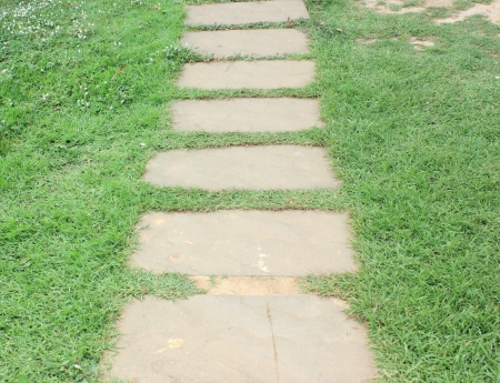 Walkway on green grass in gardenの写真素材