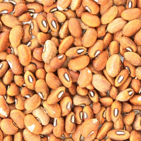 A background of  dried beansの写真素材