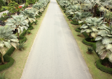 Stone  walkway in the parkの写真素材