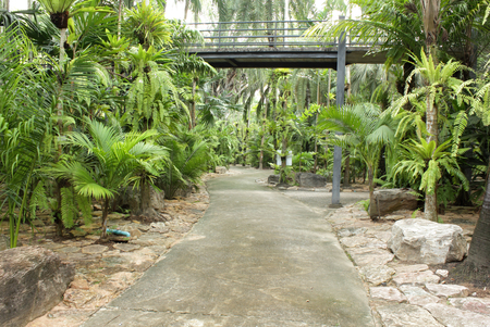 Stone  walkway in the parkの写真素材