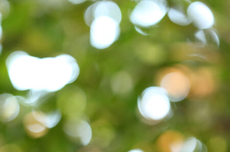 Image of a natural bokeh backgroundの写真素材