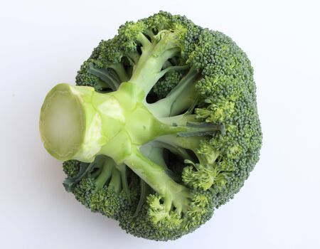 fresh green broccoli on white backgroundの写真素材