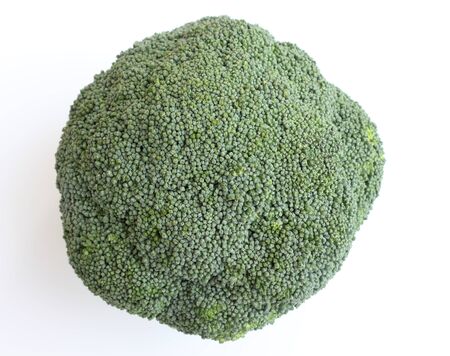 fresh green broccoli on white backgroundの写真素材