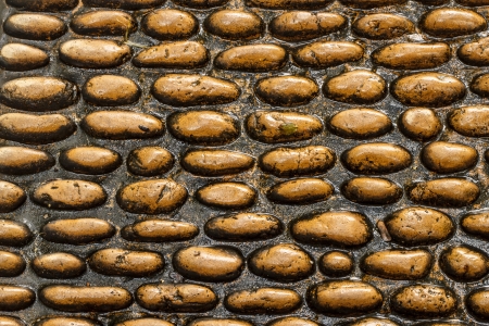 Brown Stone Texture in the park on morningの写真素材