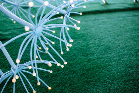 tree lamp on green filed on fine dayの写真素材