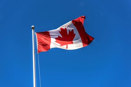Canada Flag on Blue skyの写真素材