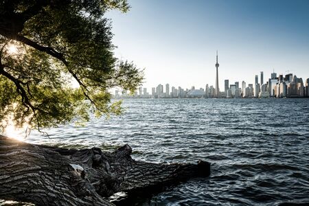Toronto city skyline, Ontario, Canadaの写真素材