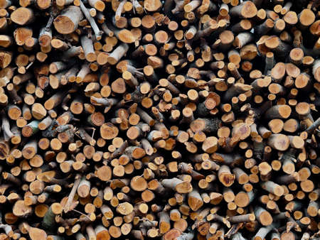 Firewood , Natural wooden background,
Dry wood stacked together.の写真素材