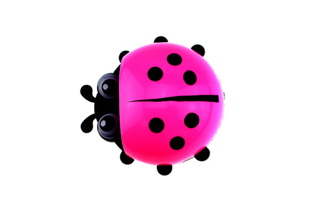 Ladybug toy on white backgroundの写真素材