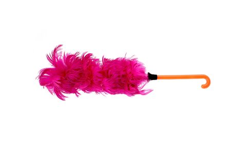 Pink Feather isolatedの写真素材