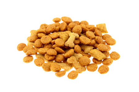 Dog food isolatedの写真素材