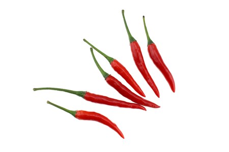 Red chili isolatedの写真素材