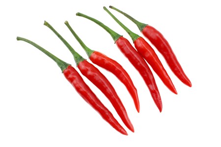 Chilli isolatedの写真素材