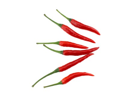 Chilli isolatedの写真素材