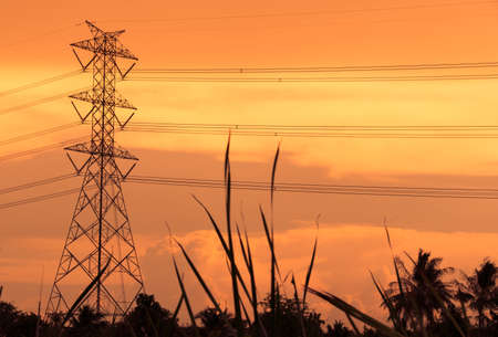 High voltage poles evening sunset