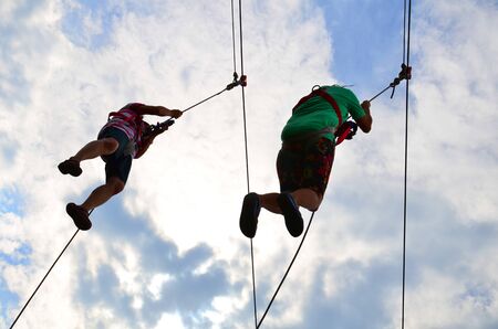 flying squirrelの写真素材