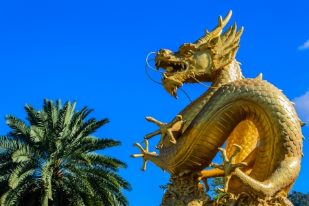 A holy golden dragon sculpture in Phuketの写真素材