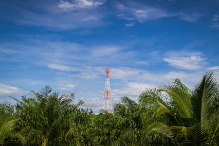 Mobile phone communication repeater antenna tower among oil palm plantationの写真素材