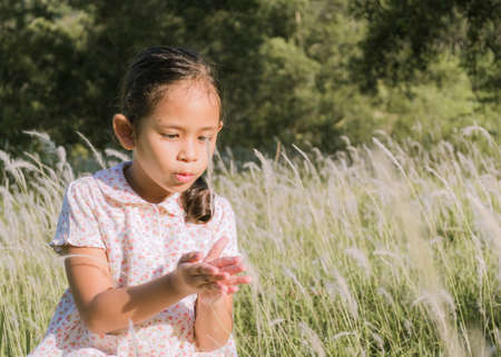A cute girl on a field with grass flowers under sunshineの写真素材
