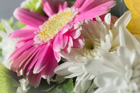 bouquet of beautiful flowers under the lightの写真素材