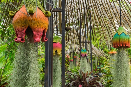 Colorful baked clay for garden decorationの写真素材