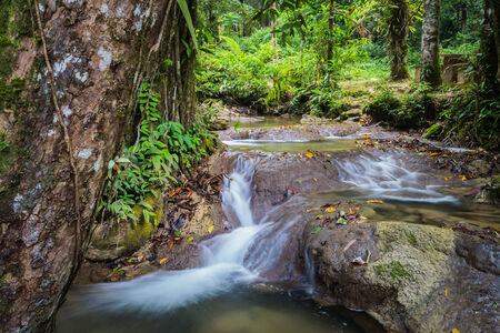 flowing water steaming in the jungle of thailandの写真素材