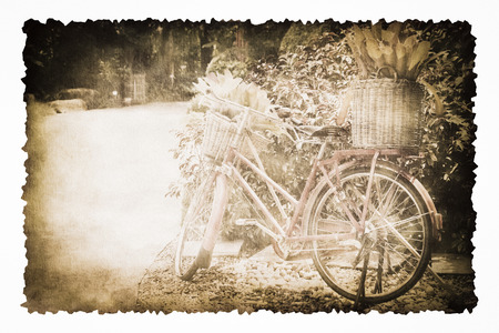 An old bicycle in the garden on the old brown burnt paper isolated on white