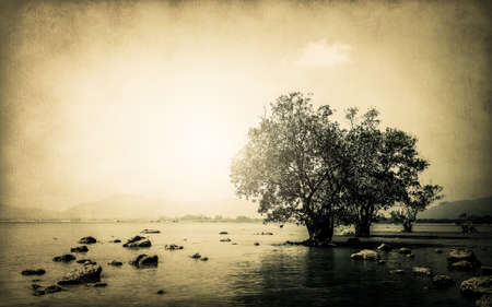 environment of the seaside when the tide is coming in on old paper backgroundの写真素材