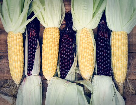 Yellow and red corns are on wooden vintage table background