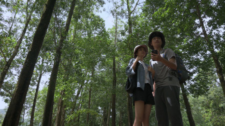 Asian teen brother and sister are searching for directions with mobile phone app while standing in the forest park during summer camping. Outdoor activities. Travel explorer.の写真素材