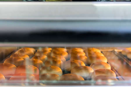 Many colorful and tasty loaf of bread on tray in oven of industrial food