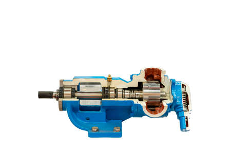 Cross section present detail in side of high pressure external gear pump or rotary gear pump for...