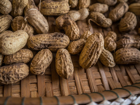 GROUND NUT DISEASEの写真素材