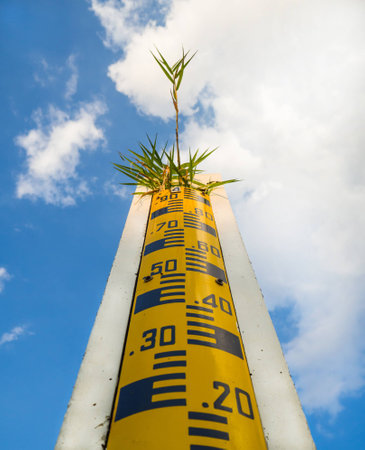 water level indicator or staff gauge and grass on the top clear blue sky.