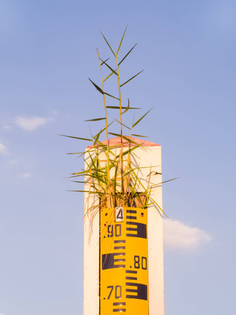 water level indicator or staff gauge and grass on the top clear blue sky.の写真素材