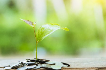 Growing Business Growth and Financial Cultivation of Plants from Coins in Glass Bottles on Green Backgroundの写真素材