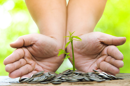 Trees with money, saving money and growing hands.の写真素材