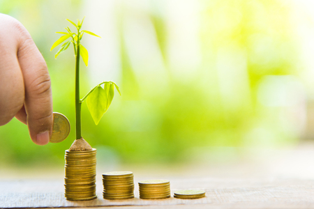 Trees with money, saving money and growing hands.の写真素材