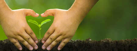 Planting trees, loving the environment and protecting nature Nourishing the plants World Environment Day To help the world look beautifulの写真素材