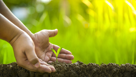 Planting trees, loving the environment and protecting nature Nourishing the plants World Environment Day To help the world look beautifulの写真素材