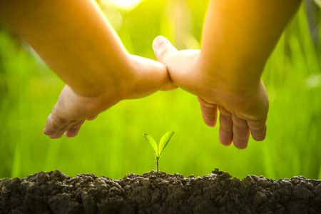 Planting trees, loving the environment and protecting nature Nourishing the plants World Environment Day To help the world look beautifulの写真素材