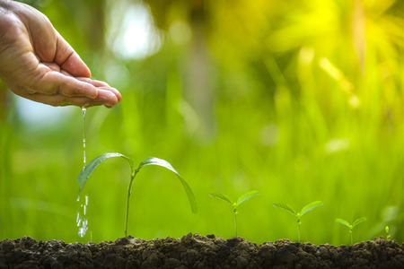 Planting trees, loving the environment and protecting nature Nourishing the plants World Environment Day To help the world look beautifulの写真素材