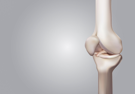 3D rendering, illustrations of human and medical knee scienceの写真素材