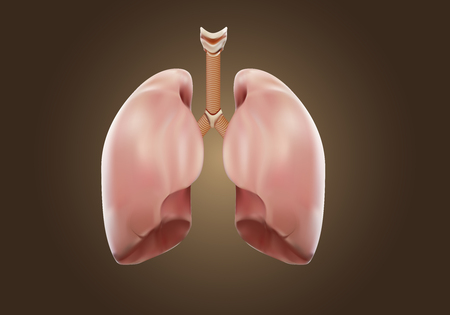 Strong lung Autopsy medical concept, 3D display.の写真素材
