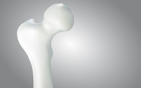 Thigh bone and human sphincter. On a white background - 3D rendering can be word or word paste.の写真素材