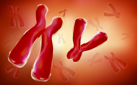 X and Y chromosome pairs or genetics. There are pairs as illustrated by medical and scientific 3D illustrations.の写真素材
